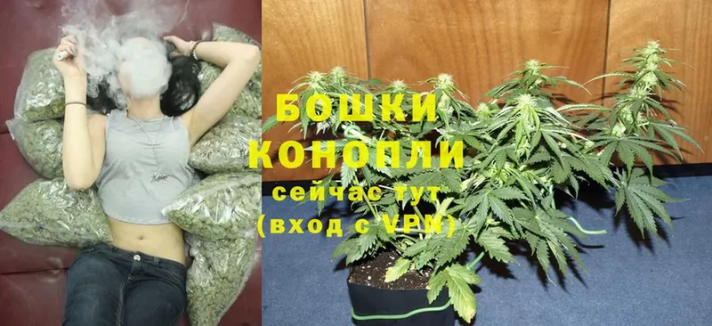 Бошки марихуана Bruce Banner  ссылка на мегу как зайти  Бакал 